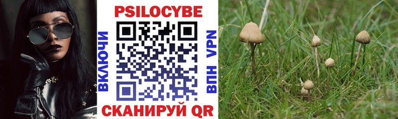 кракен   Ленинградская  Псилоцибиновые грибы Psilocybe 